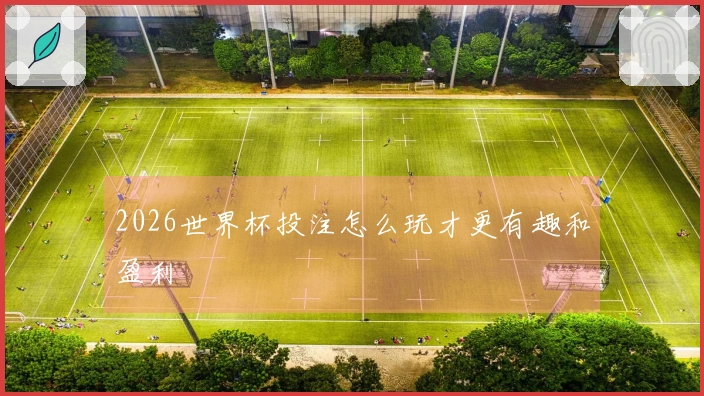 2026世界杯投注怎么玩才更有趣和盈利