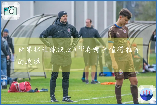世界杯让球投注APP有哪些值得推荐的选择
