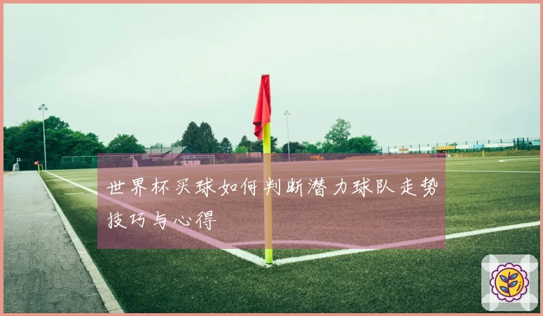 世界杯买球如何判断潜力球队走势技巧与心得
