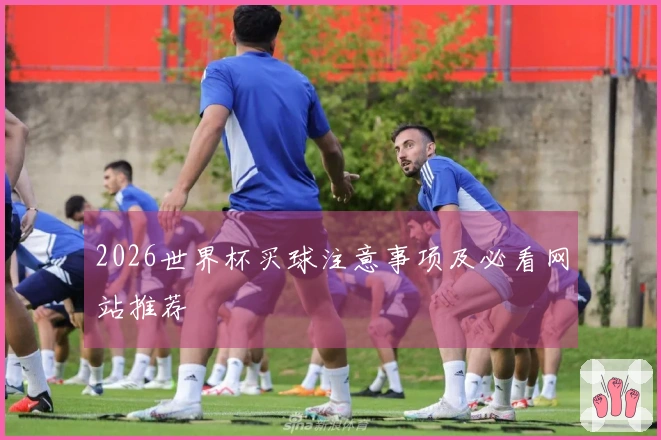 2026世界杯买球注意事项及必看网站推荐