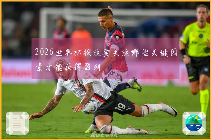 2026世界杯投注要关注哪些关键因素才能获得盈利