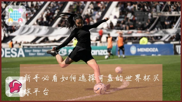 新手必看如何选择可靠的世界杯买球平台
