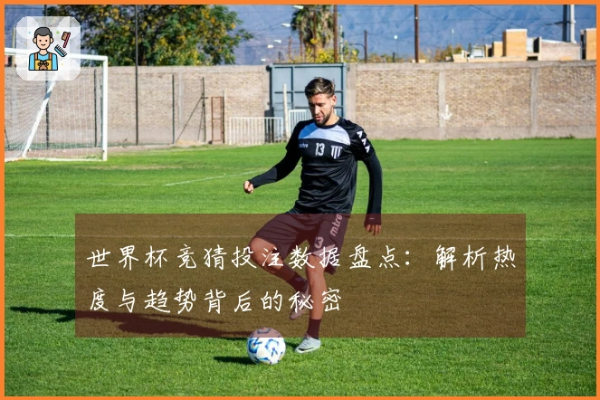 世界杯竞猜投注数据盘点：解析热度与趋势背后的秘密