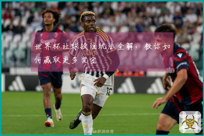 世界杯让球投注玩法全解，教你如何赢取更多奖金