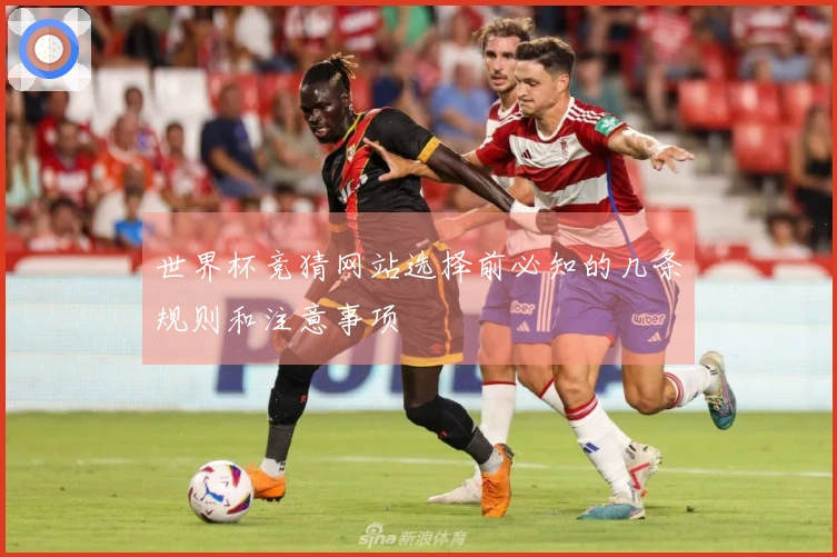 世界杯竞猜网站选择前必知的几条规则和注意事项