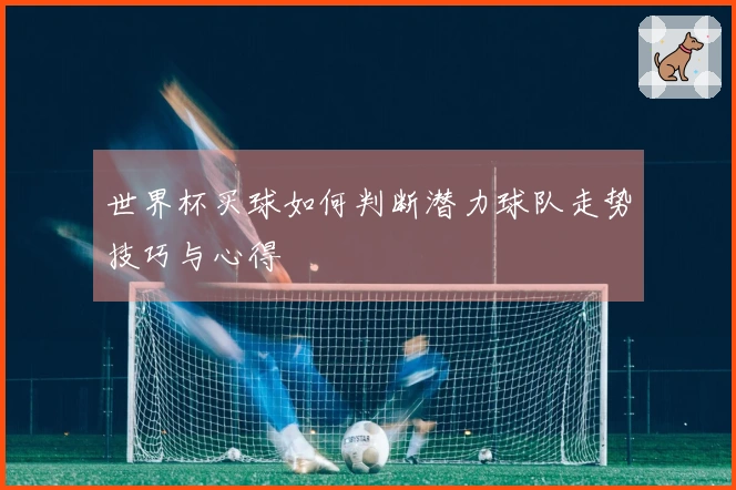 世界杯买球如何判断潜力球队走势技巧与心得