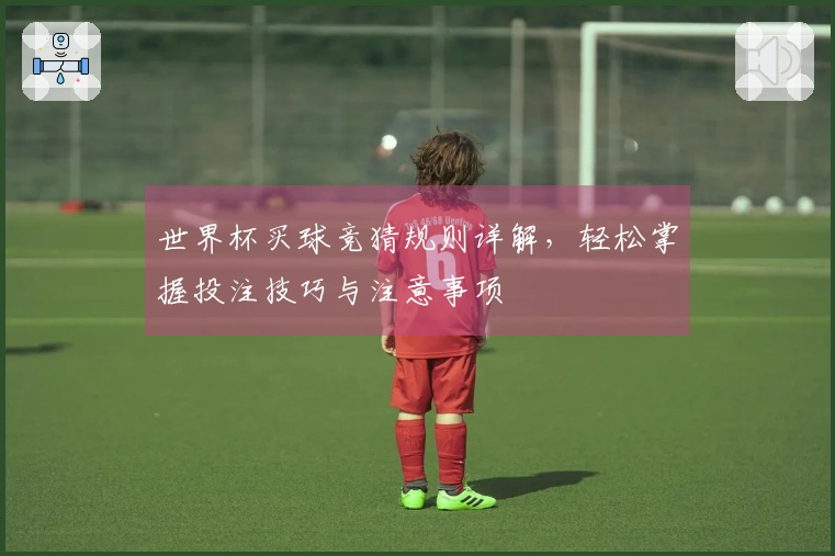 世界杯买球竞猜规则详解，轻松掌握投注技巧与注意事项