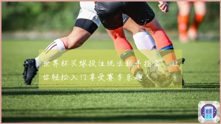 世界杯买球投注玩法新手指南，让你轻松入门享受赛季乐趣