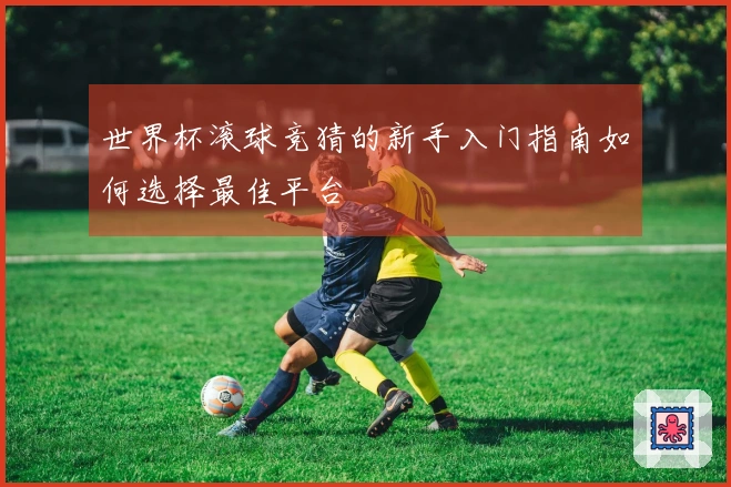 世界杯滚球竞猜的新手入门指南如何选择最佳平台