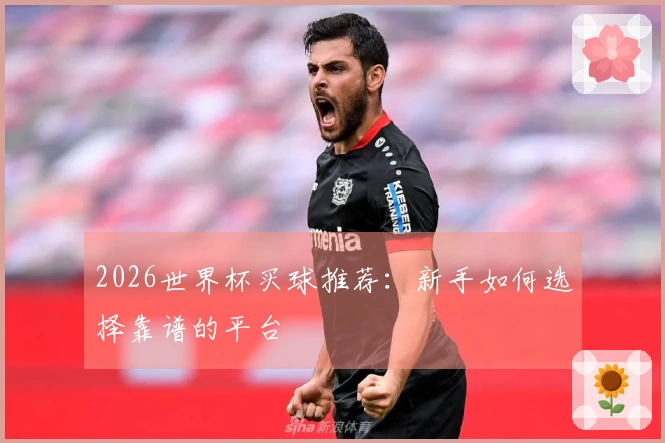 2026世界杯买球推荐：新手如何选择靠谱的平台