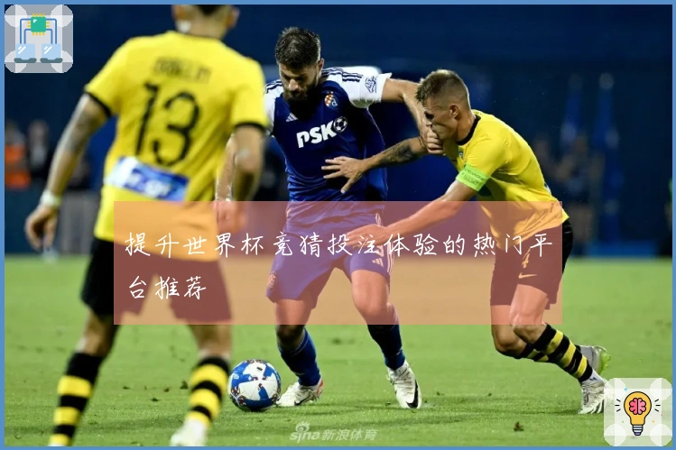 提升世界杯竞猜投注体验的热门平台推荐
