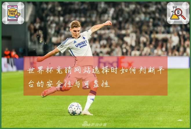 世界杯竞猜网站选择时如何判断平台的安全性与可靠性