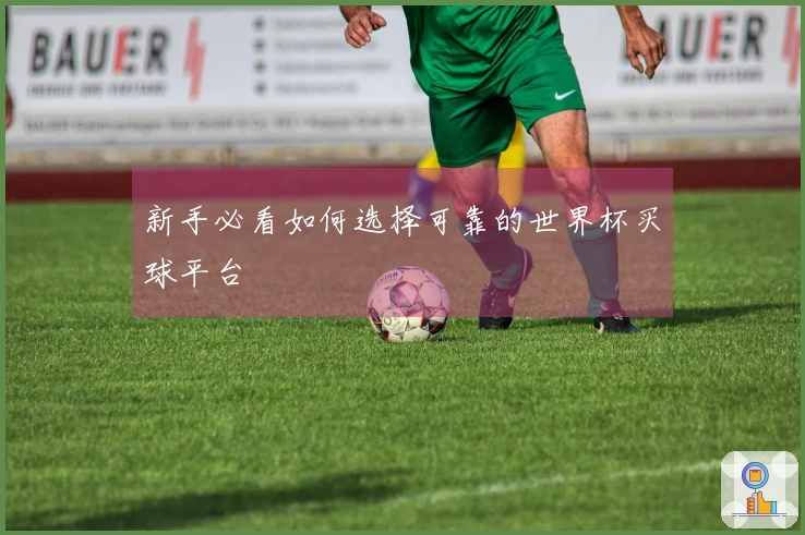 新手必看如何选择可靠的世界杯买球平台