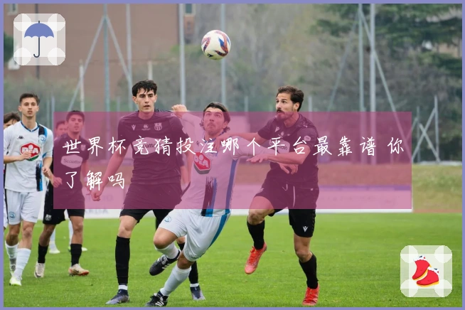世界杯竞猜投注哪个平台最靠谱 你了解吗