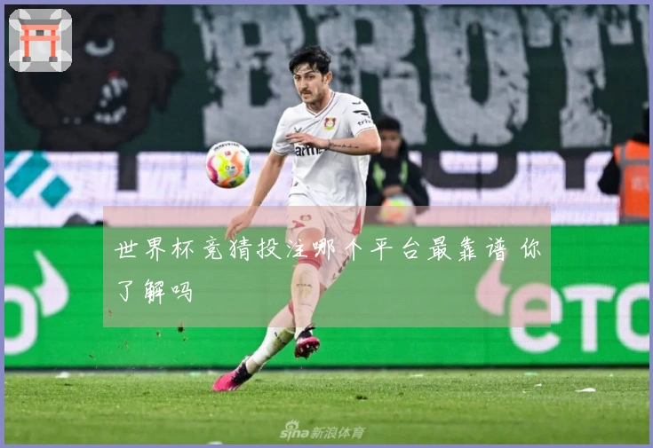 世界杯竞猜投注哪个平台最靠谱 你了解吗