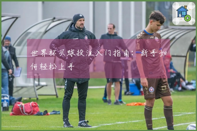 世界杯买球投注入门指南：新手如何轻松上手