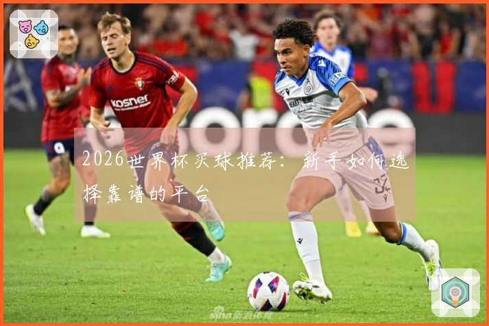2026世界杯买球推荐：新手如何选择靠谱的平台