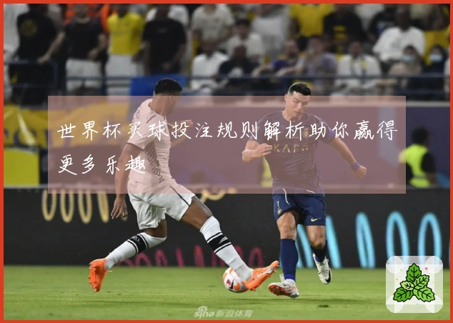 世界杯买球投注规则解析助你赢得更多乐趣