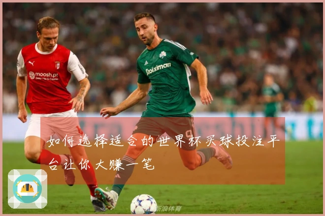 如何选择适合的世界杯买球投注平台让你大赚一笔