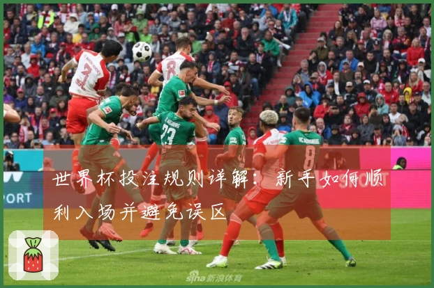 世界杯投注规则详解:新手如何顺利入场并避免误区
