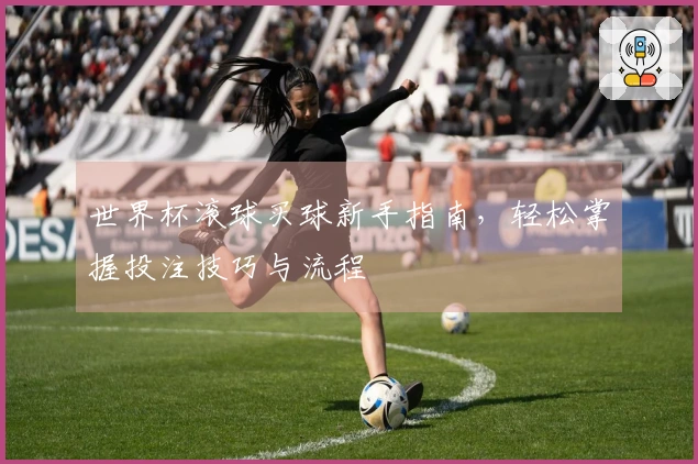 世界杯滚球买球新手指南，轻松掌握投注技巧与流程