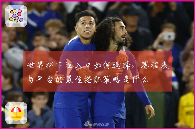 世界杯下注入口如何选择，赛程表与平台的最佳搭配策略是什么