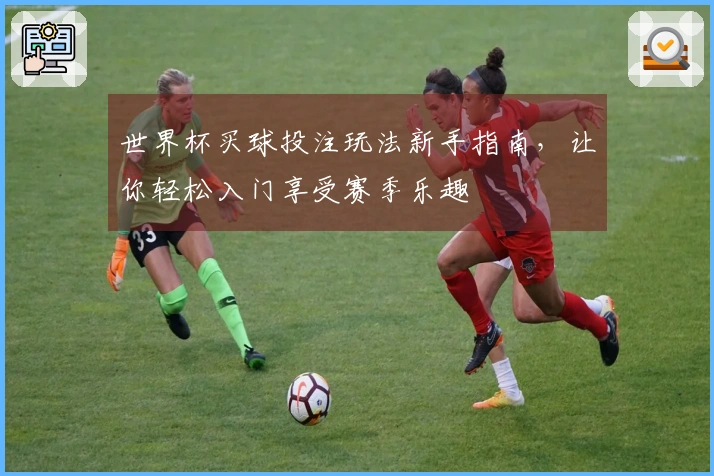 世界杯买球投注玩法新手指南，让你轻松入门享受赛季乐趣