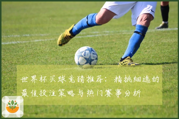 世界杯买球竞猜推荐：精挑细选的最佳投注策略与热门赛事分析